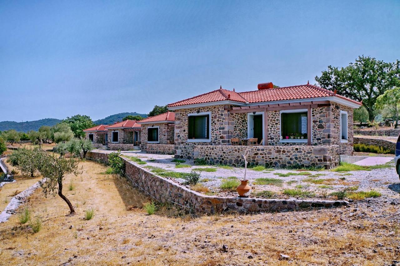 Ktima Kiourelioti Villa Skala Sykamineas Екстериор снимка