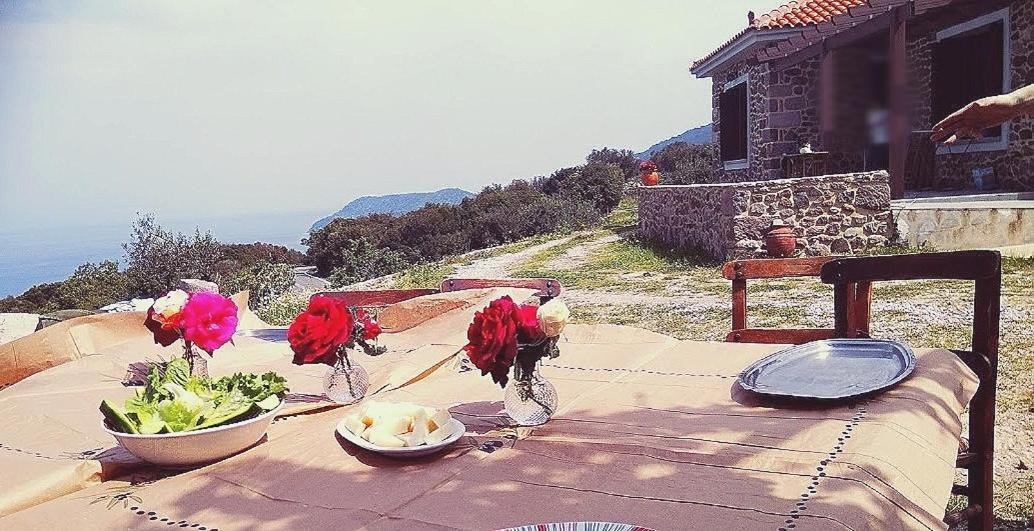 Ktima Kiourelioti Villa Skala Sykamineas Екстериор снимка