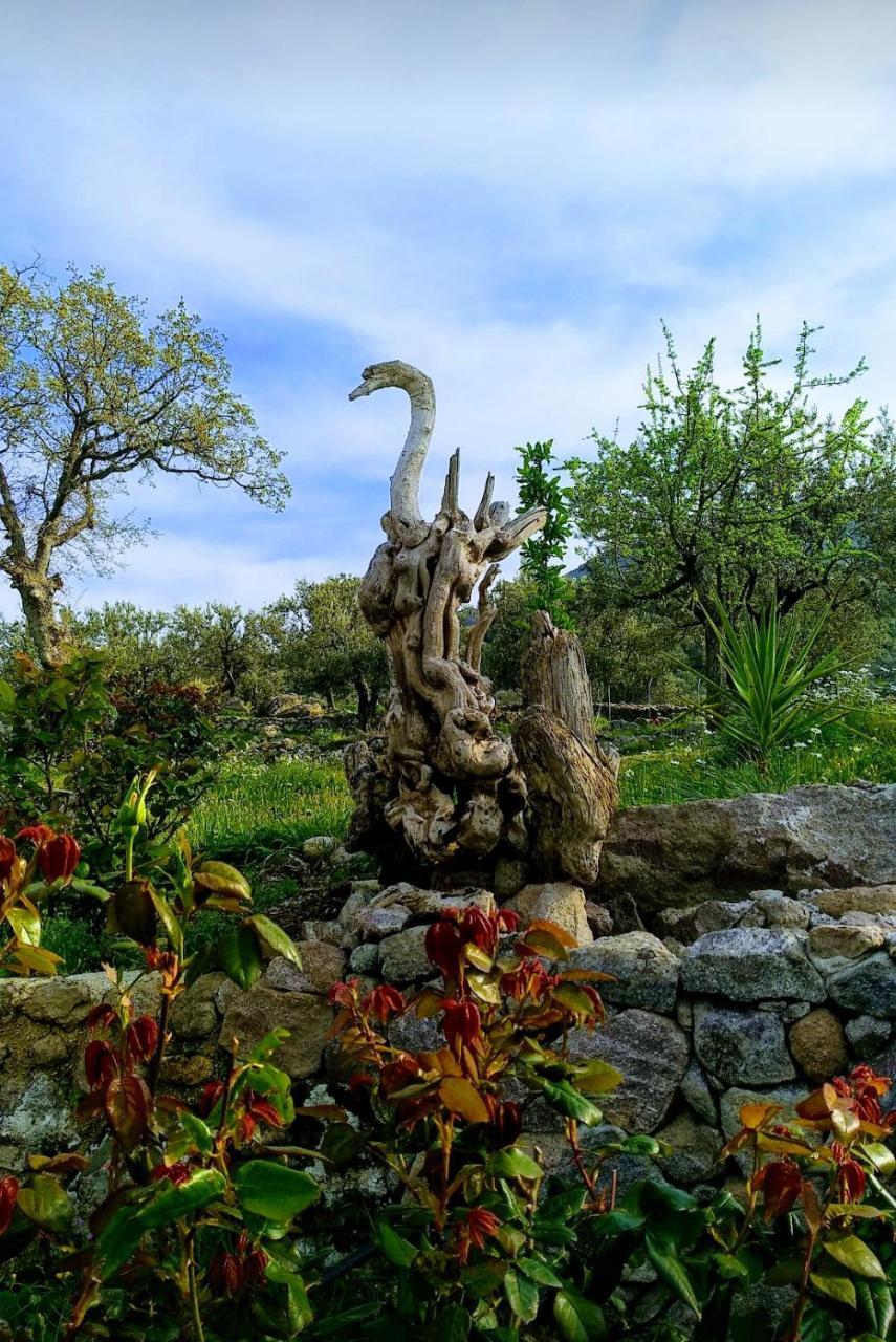 Ktima Kiourelioti Villa Skala Sykamineas Екстериор снимка