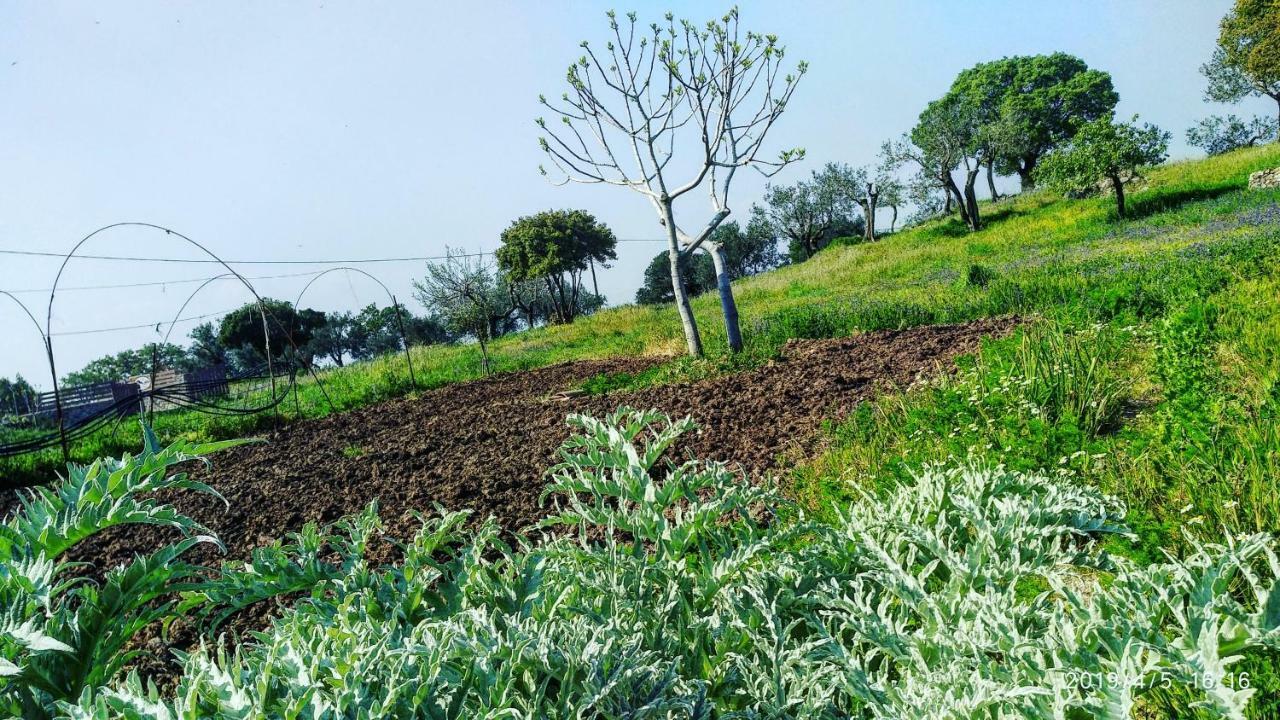 Ktima Kiourelioti Villa Skala Sykamineas Екстериор снимка